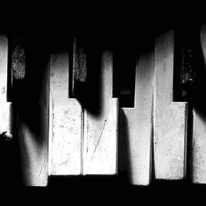 忘忧草社区视频在线免费观看
